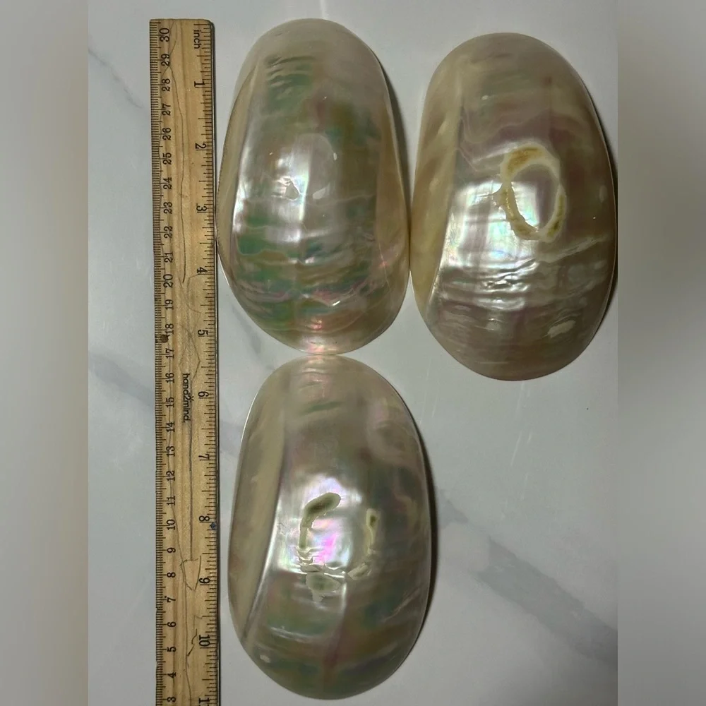 Iridescent Shell Decor Set - Picture 4 of 4